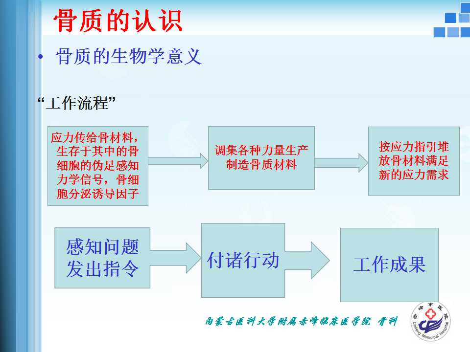 骨折愈合的原理与逻辑