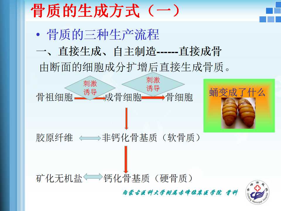 骨折愈合的原理与逻辑