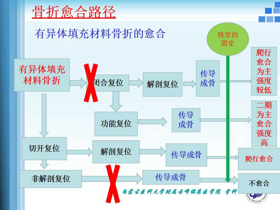 骨折愈合的原理与逻辑