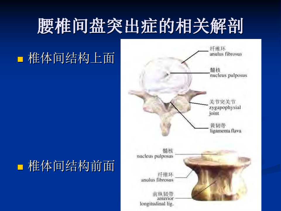 腰椎间盘突出症的鉴别诊断要点