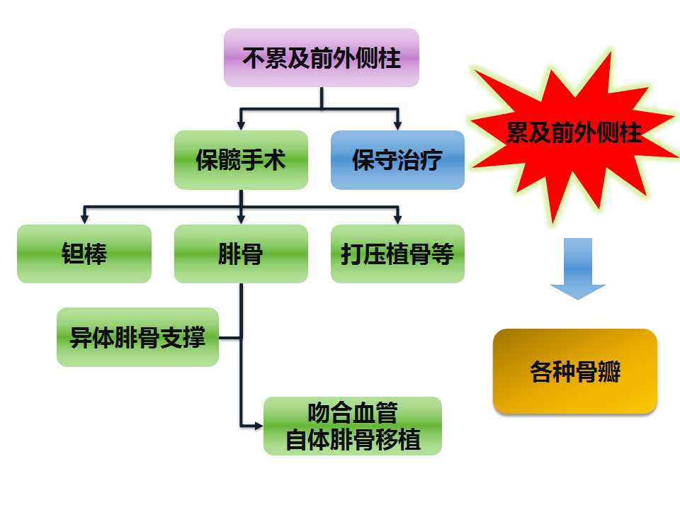 股骨头坏死的诊断与保髋方法的选择