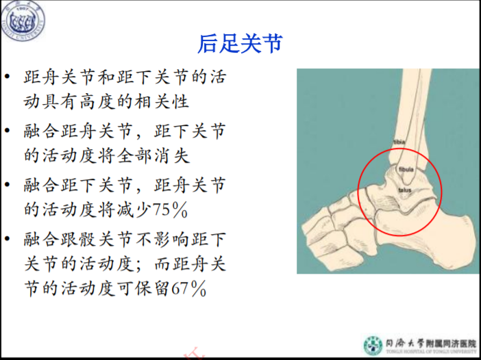 治疗踝骨折，你必须了解的足踝部的生物力学