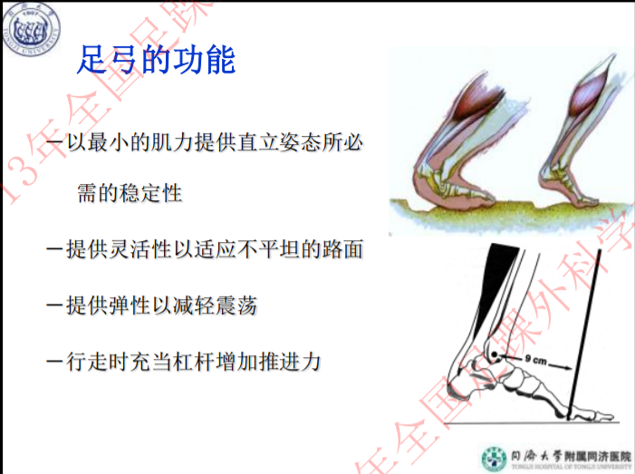 治疗踝骨折，你必须了解的足踝部的生物力学