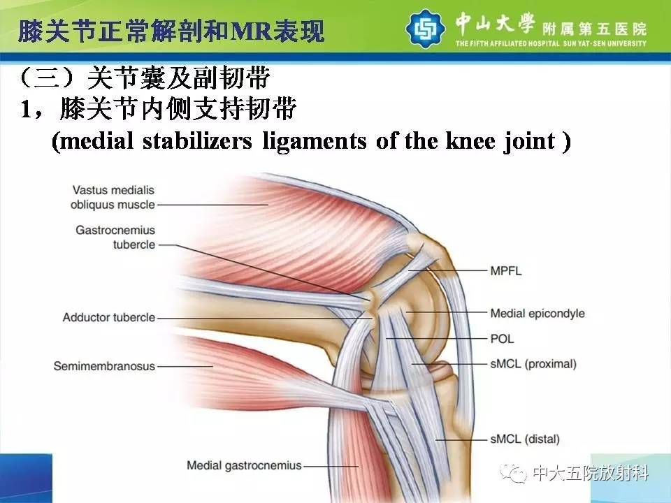 膝关节半月板和韧带损伤的影像学诊断