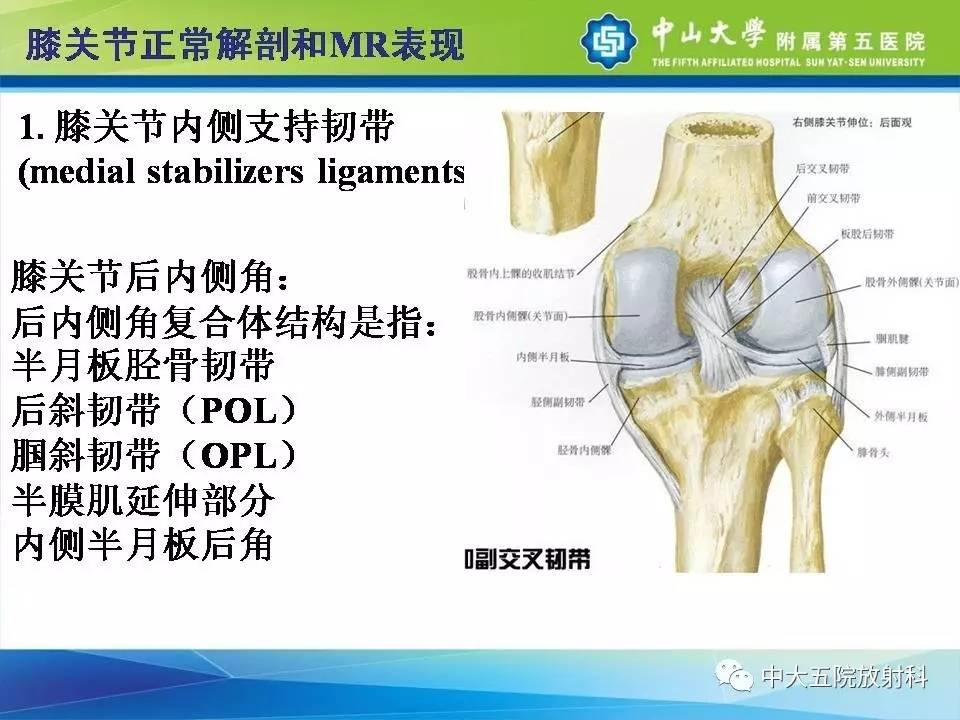 膝关节半月板和韧带损伤的影像学诊断