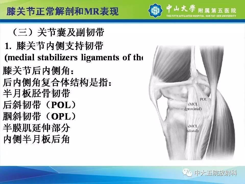 膝关节半月板和韧带损伤的影像学诊断