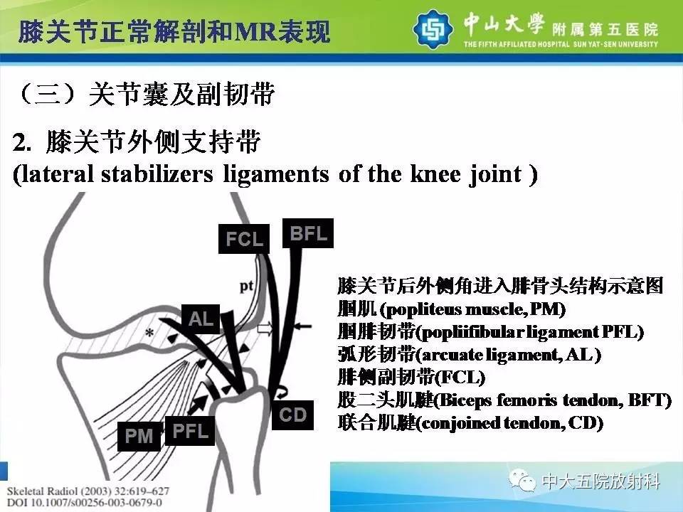 膝关节半月板和韧带损伤的影像学诊断