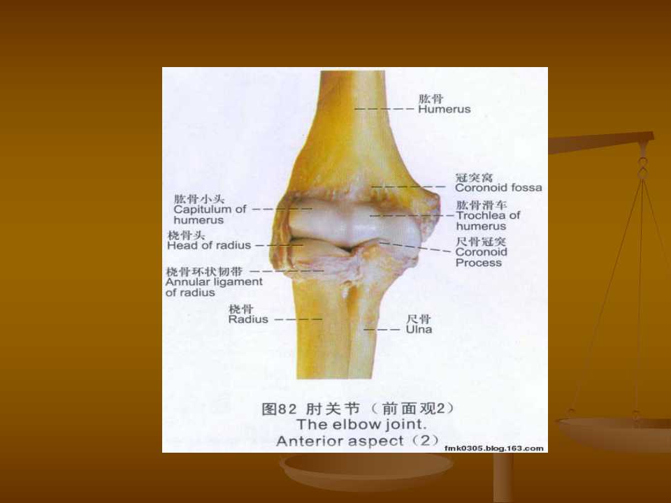 肘关节恐怖三联征的治疗原则