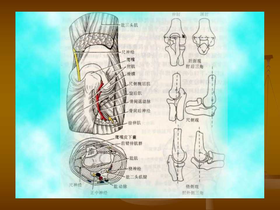 肘关节恐怖三联征的治疗原则