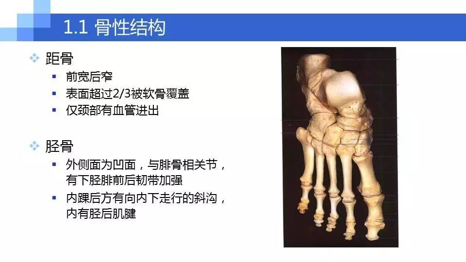 踝关节骨折的诊断与治疗策略