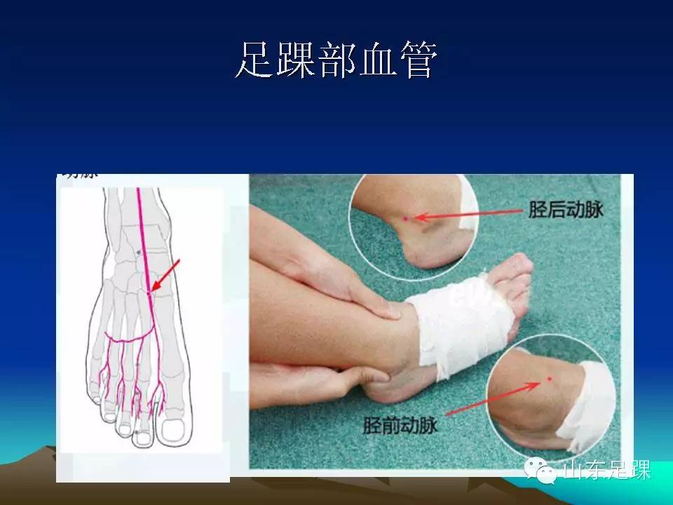 怎样做好足踝外科的基本物理检查