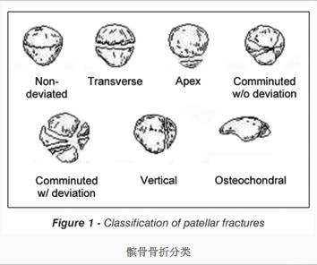 微信图片_20171016102543_副本.jpg