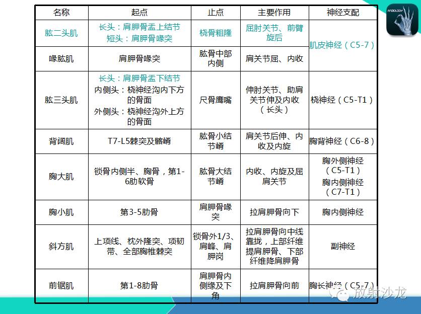 肩关节常见疾病的MRI表现