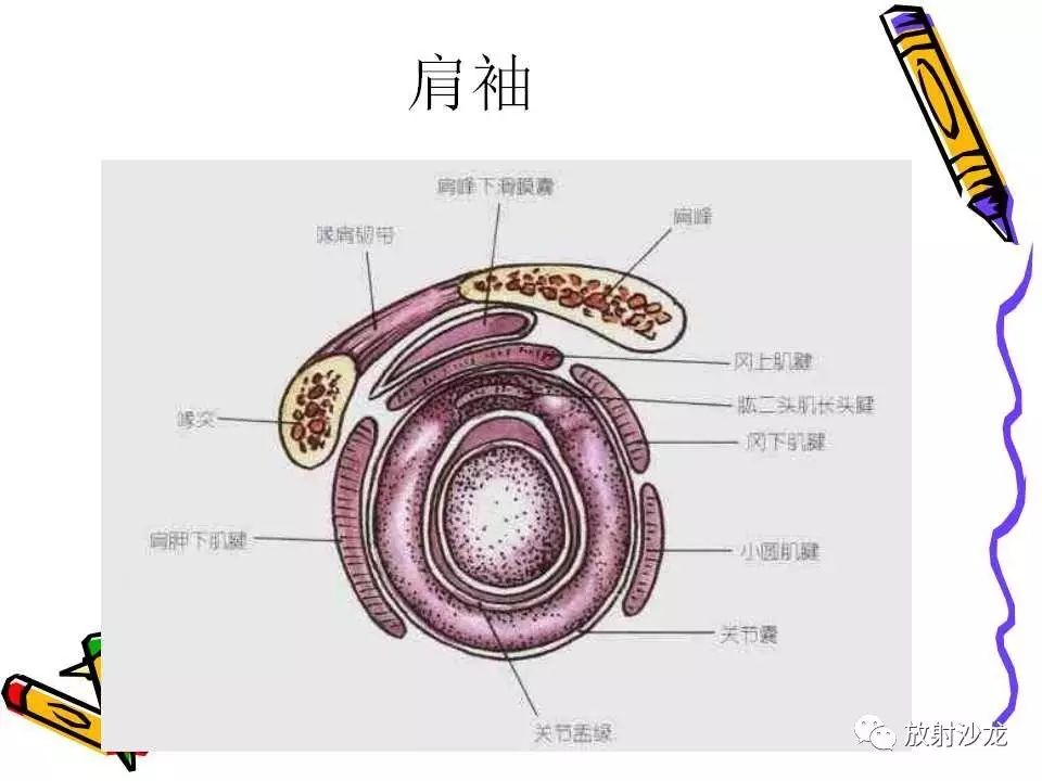 肩关节常见创伤性病变你了解多少？