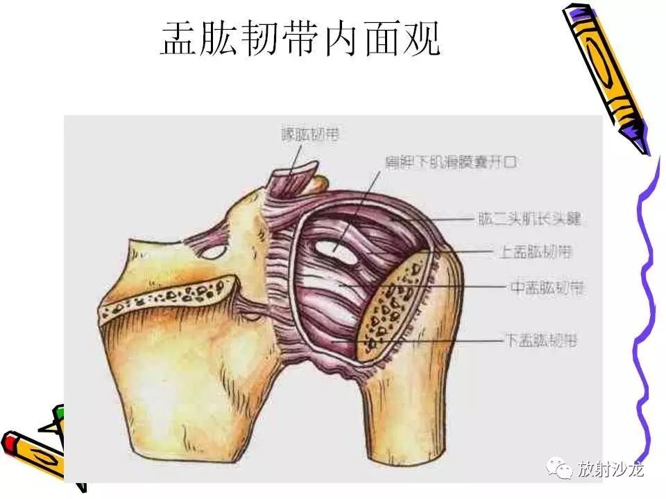 肩关节常见创伤性病变你了解多少？