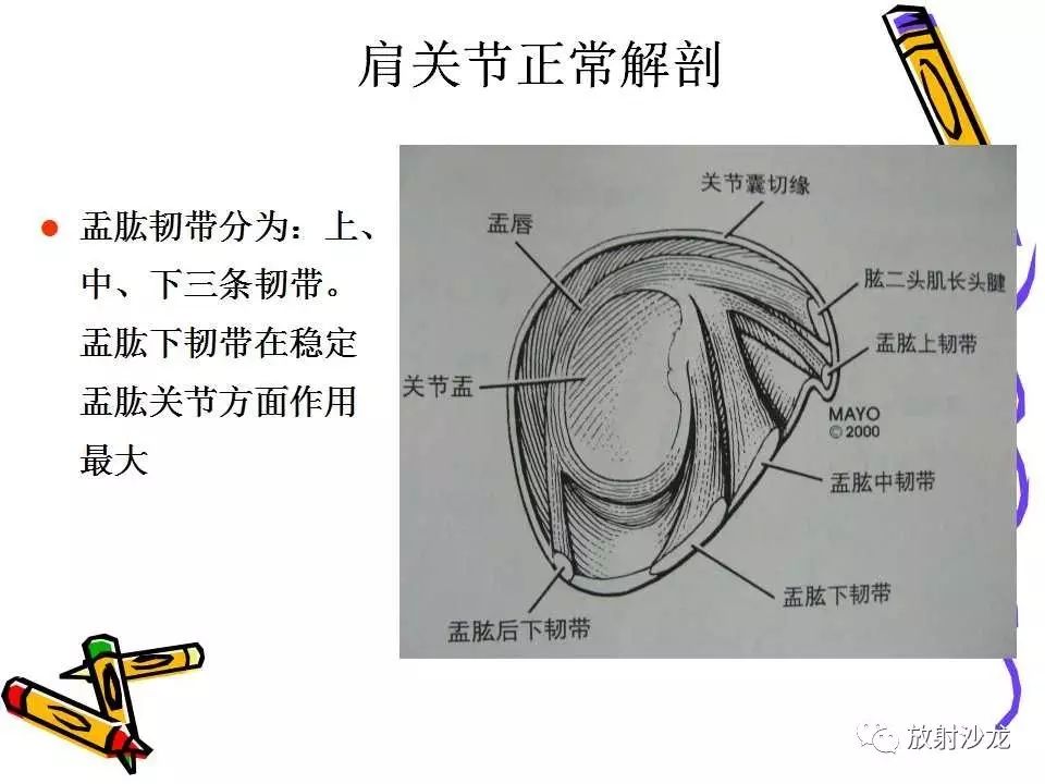 肩关节常见创伤性病变你了解多少？