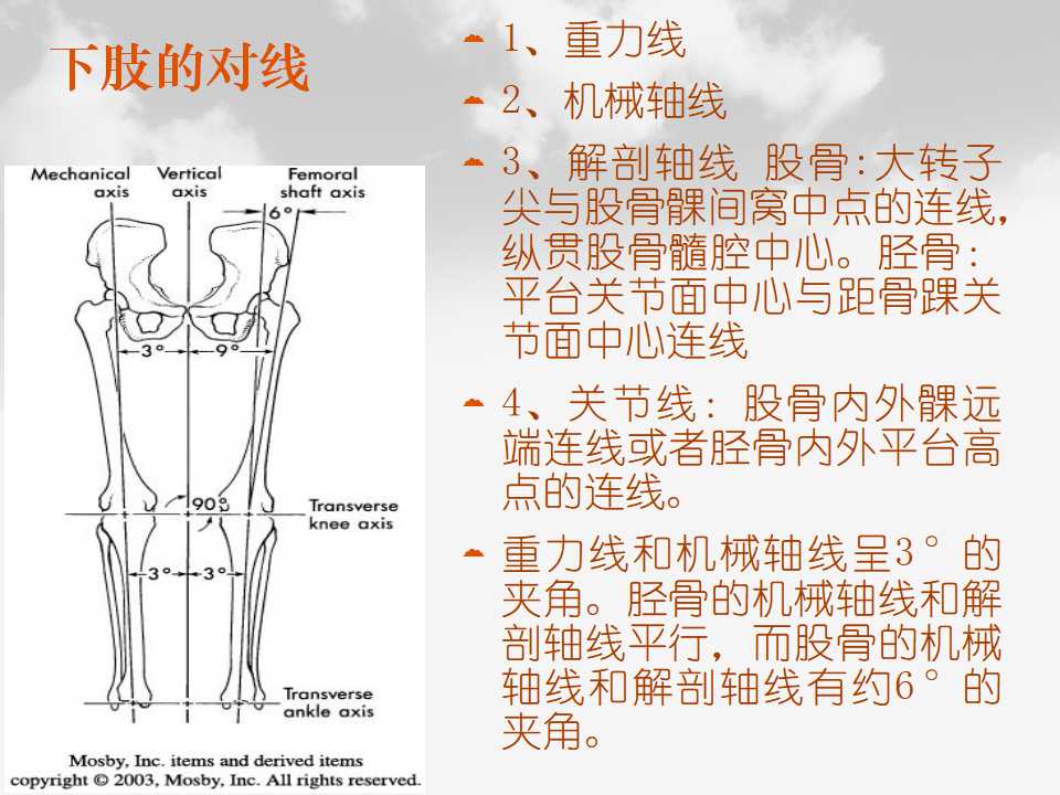 全膝关节置换基本理论的应用