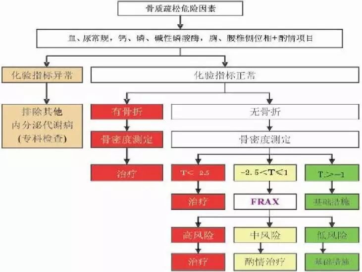 老年骨质疏松性骨折的治疗原则