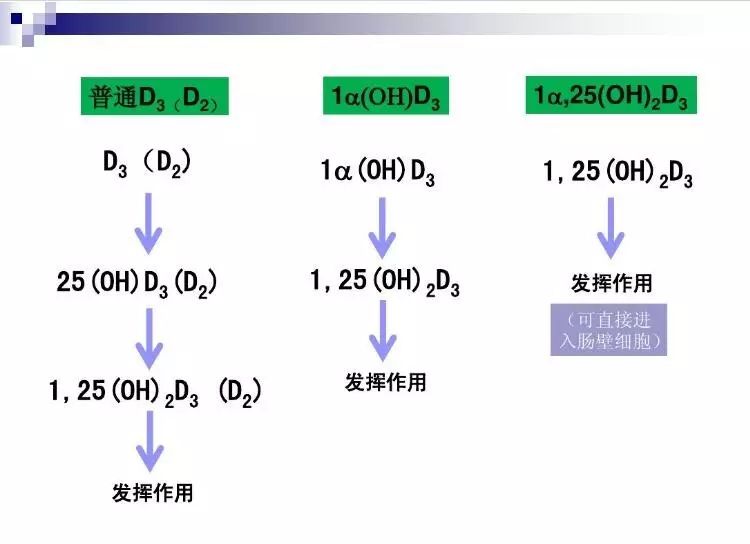 老年骨质疏松性骨折的治疗原则