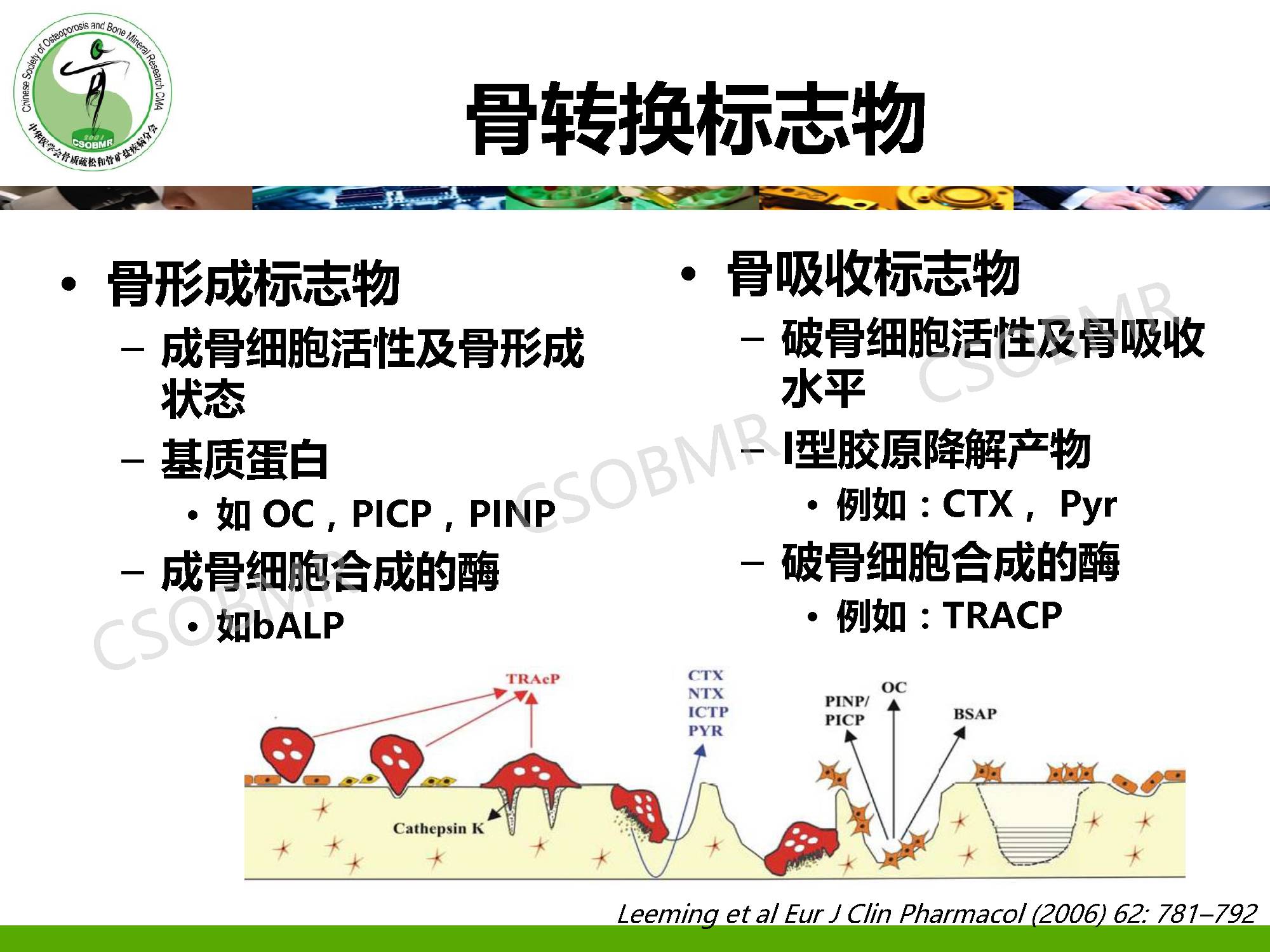 【指南】骨质疏松症临床表现、诊断及鉴别诊断