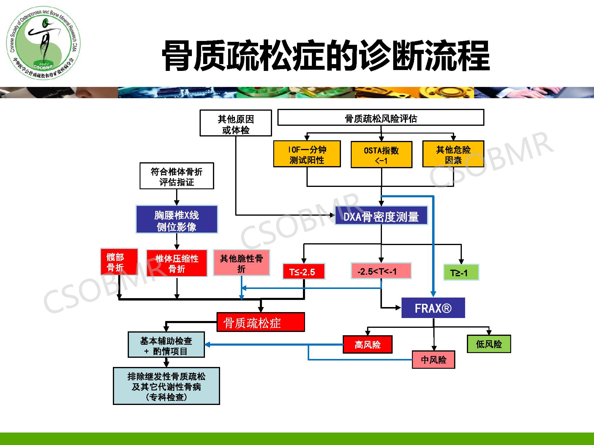 【指南】骨质疏松症临床表现、诊断及鉴别诊断