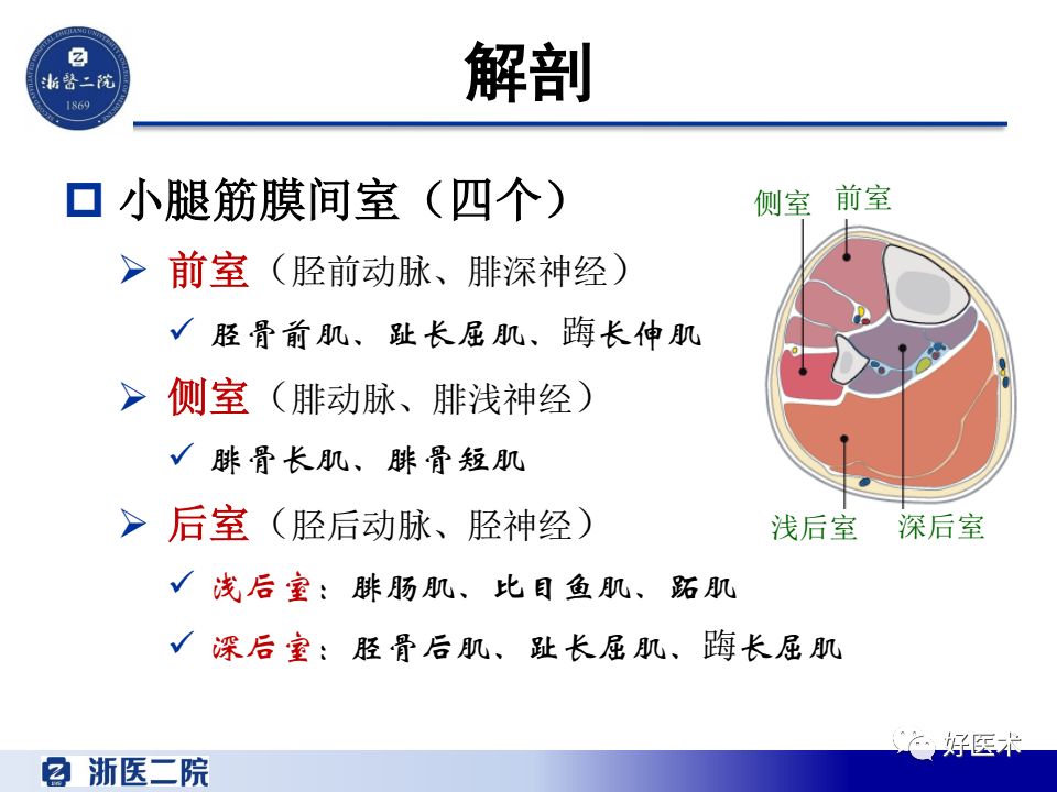 骨筋膜室综合征的诊治策略