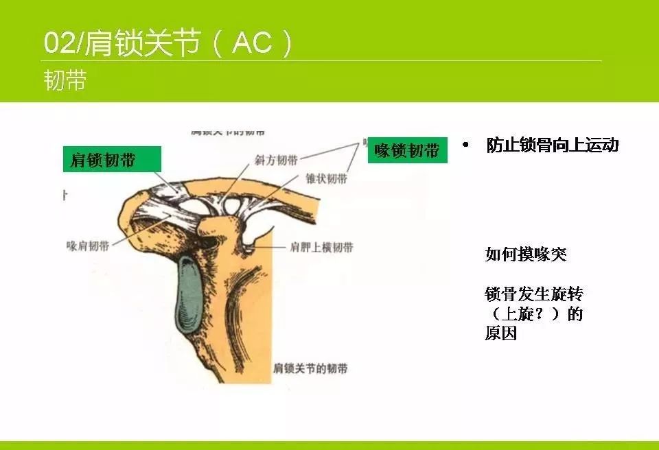 推荐