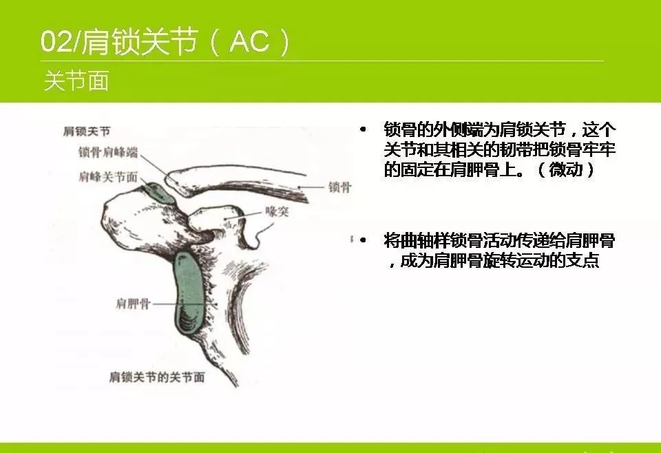 推荐