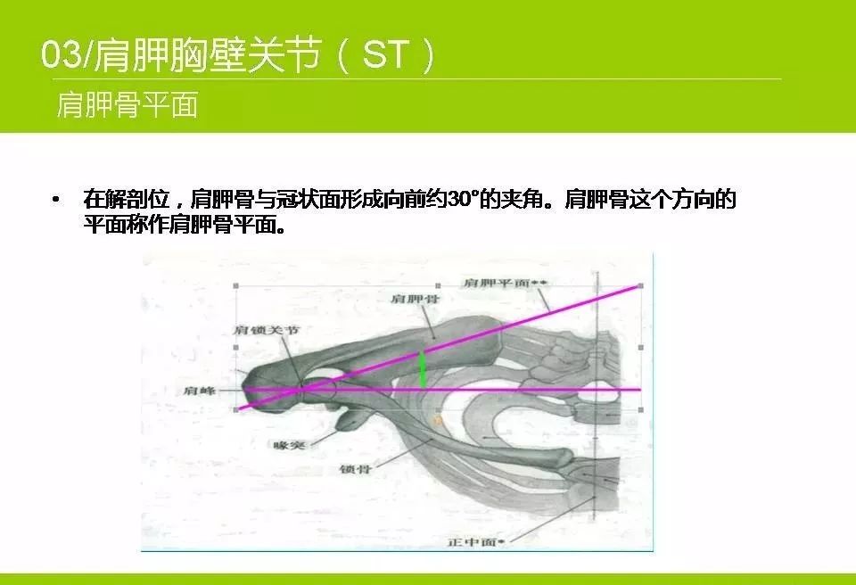 推荐