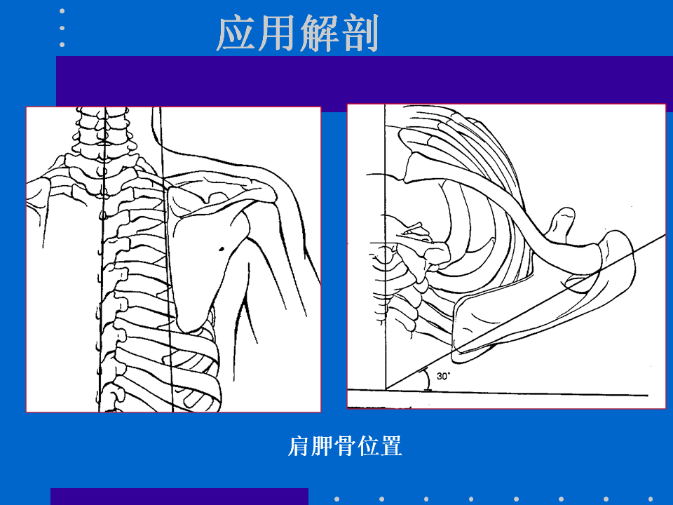 浮肩损伤的应用解剖及治疗策略