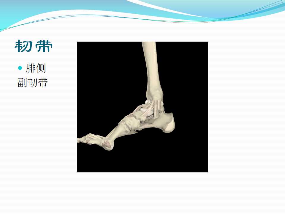 踝关节融合和置换的手术要点