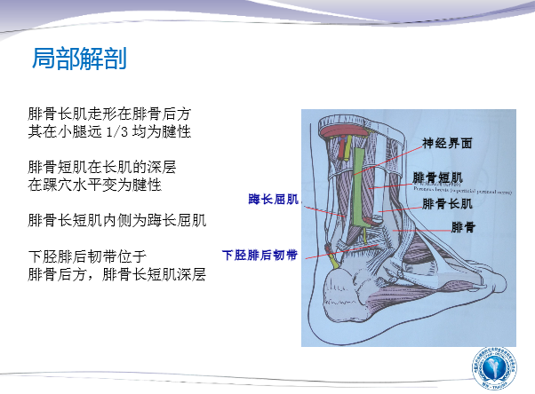 踝关节后外侧及外侧入路的手术技巧及指征