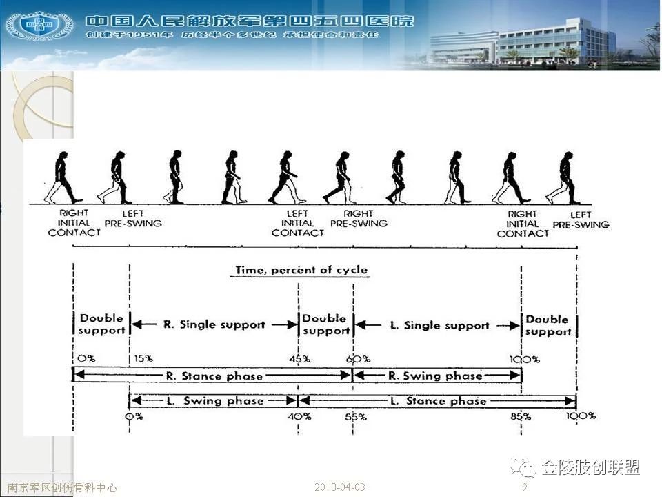 骨科基础：足踝运动生理及解剖结构