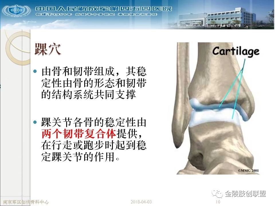 骨科基础：足踝运动生理及解剖结构