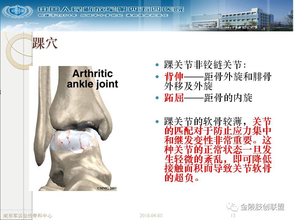 骨科基础：足踝运动生理及解剖结构