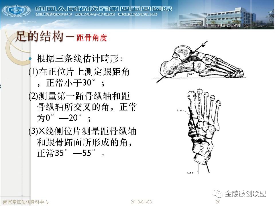 骨科基础：足踝运动生理及解剖结构