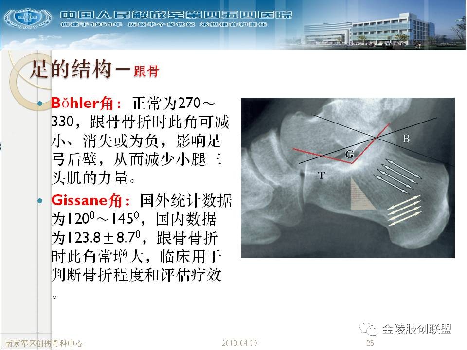 骨科基础：足踝运动生理及解剖结构