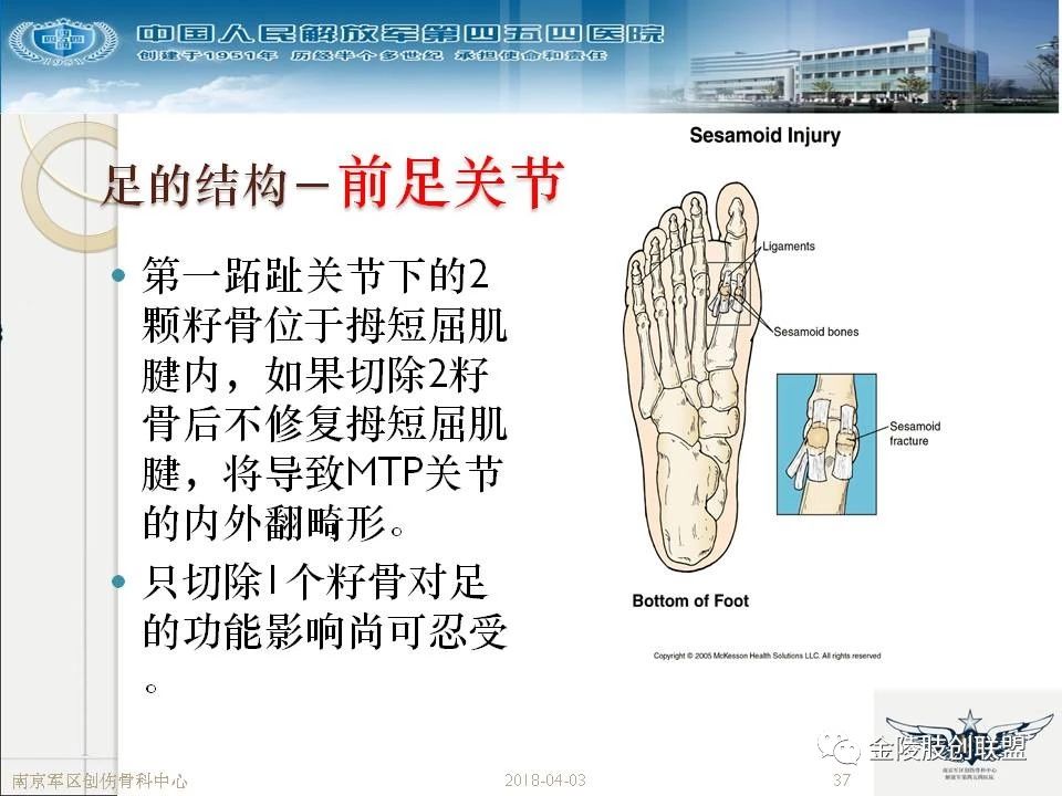 骨科基础：足踝运动生理及解剖结构