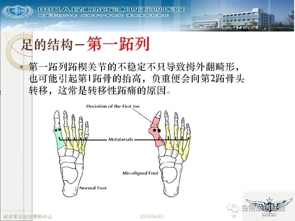 骨科基础：足踝运动生理及解剖结构