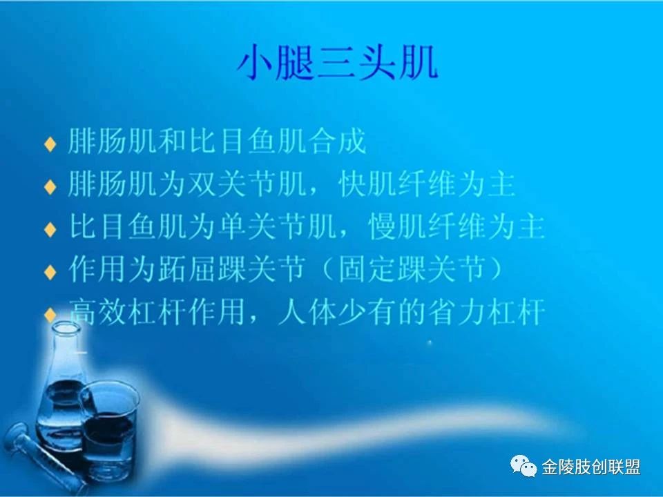 骨科基础：足踝运动生理及解剖结构