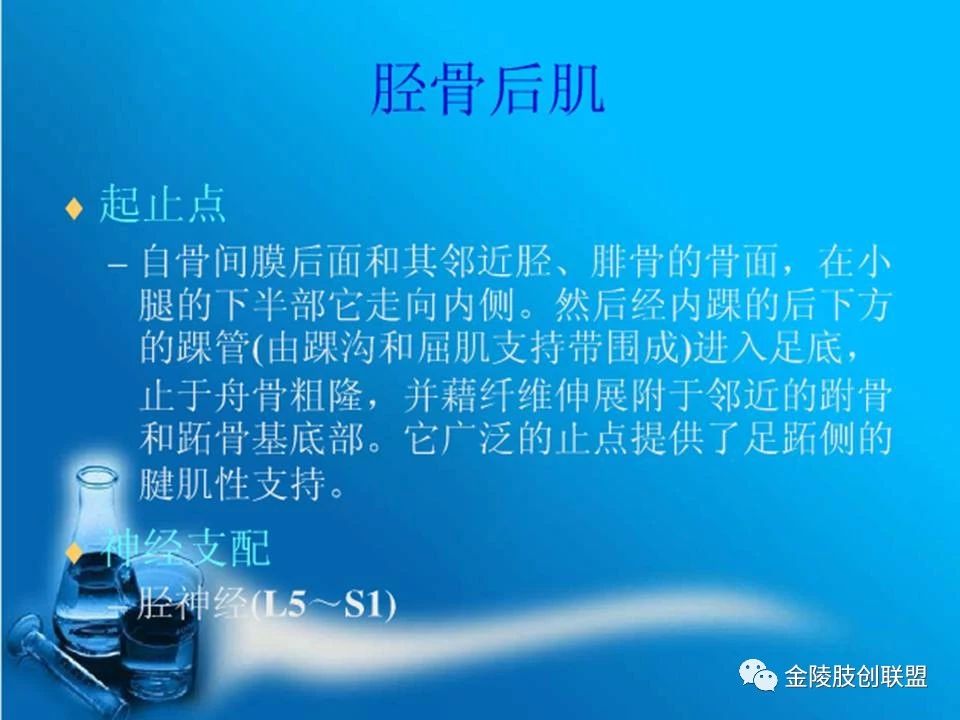 骨科基础：足踝运动生理及解剖结构