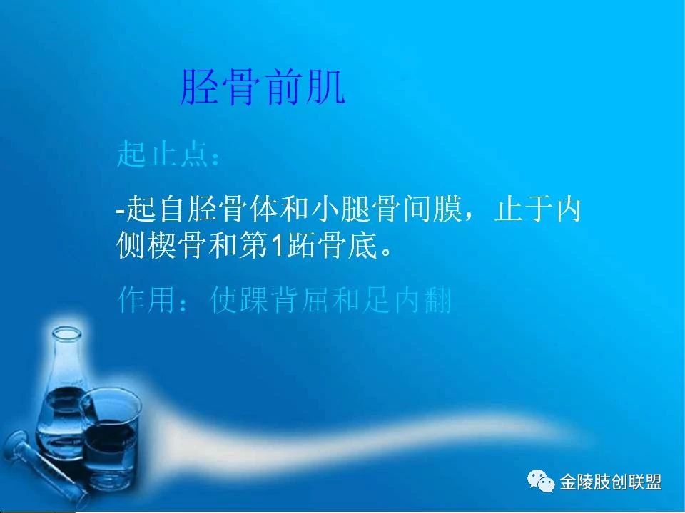 骨科基础：足踝运动生理及解剖结构