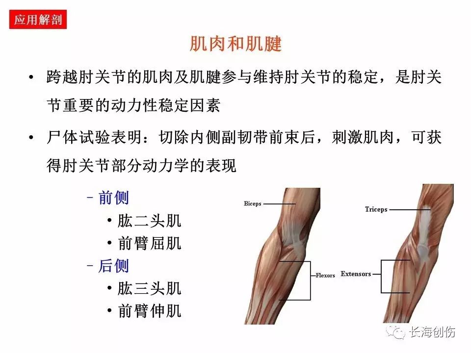 如何做好肘关节手术，先看看这篇解剖和手术入路！