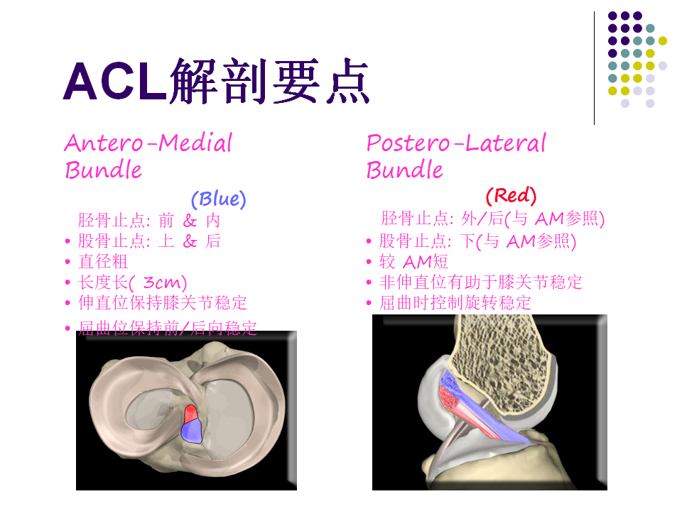 膝关节前交叉韧带损伤诊断与治疗