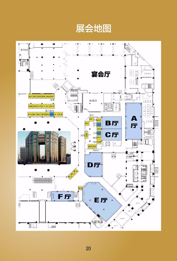 第十二届上海国际骨科前沿技术与临床转化学术会议本周末在上海召开