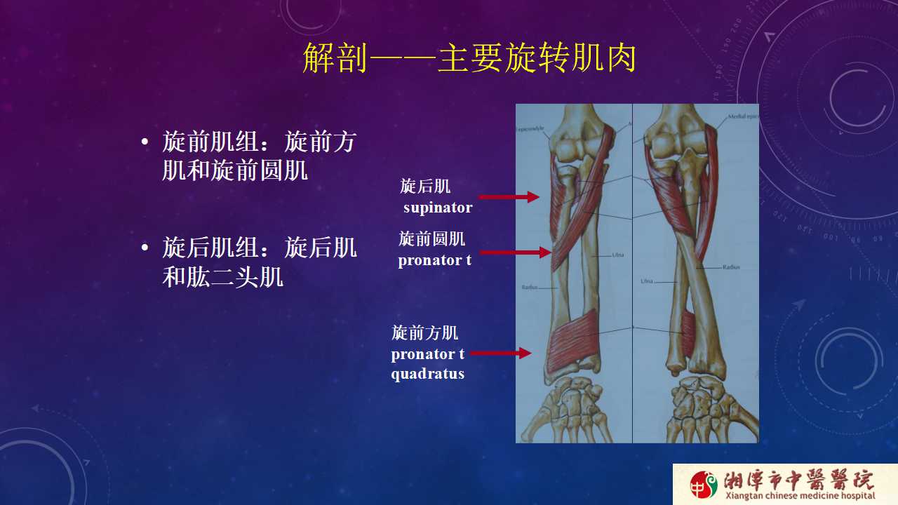 杨氏旋后牵引法治疗尺桡骨骨折