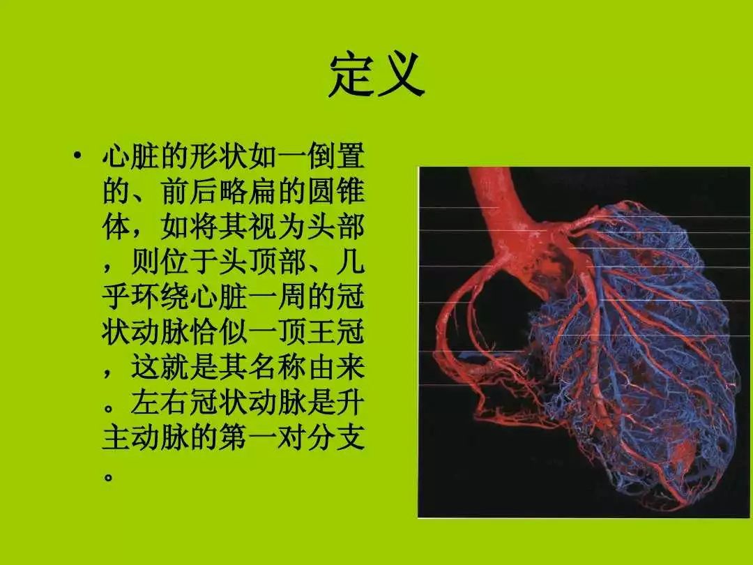 最详细冠状动脉解剖、分段及相关疾病诊断！