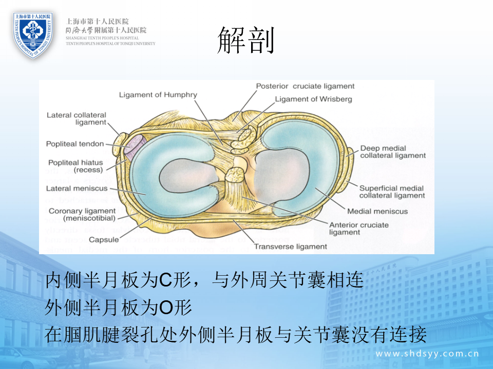 半月板损伤的诊治技巧，看完这篇就够了！