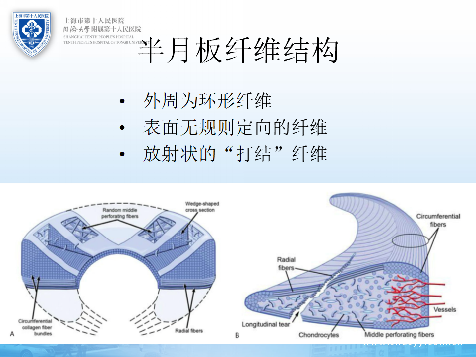 半月板损伤的诊治技巧，看完这篇就够了！