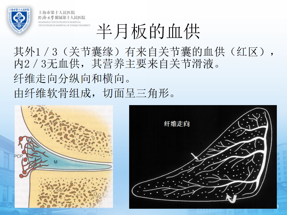 半月板损伤的诊治技巧，看完这篇就够了！